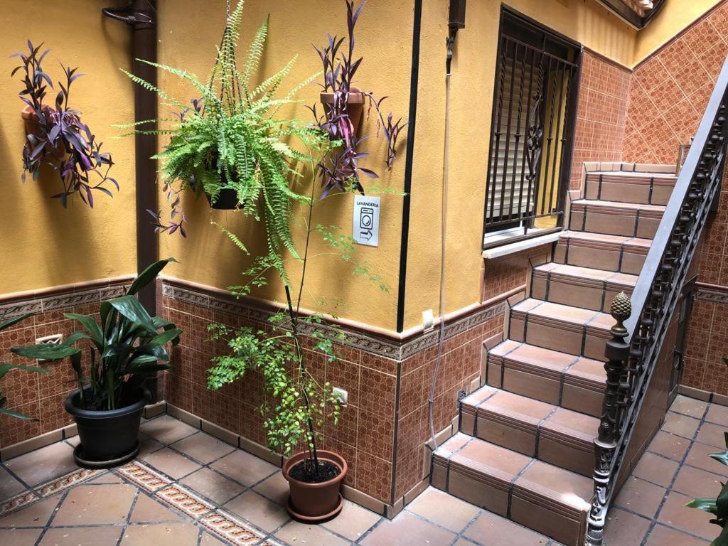 Apartamento Familiar En Toledo, Con 2 Dormitorios, Camas De Matrimonio, Ideal Ubicacion Y Fantasticas Vistas Dış mekan fotoğraf
